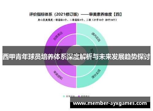 西甲青年球员培养体系深度解析与未来发展趋势探讨