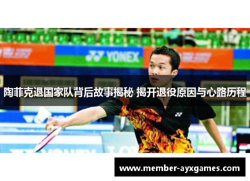 陶菲克退国家队背后故事揭秘 揭开退役原因与心路历程