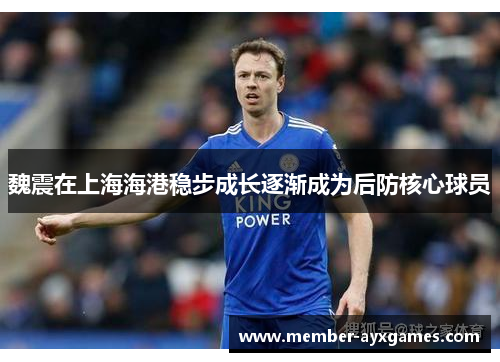 魏震在上海海港稳步成长逐渐成为后防核心球员